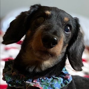 Meet your Posher, Janine